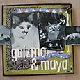 Guizmo & Maya 2
