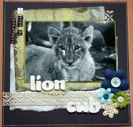 Lion cub1