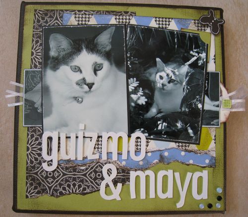 Guizmo & Maya 1
