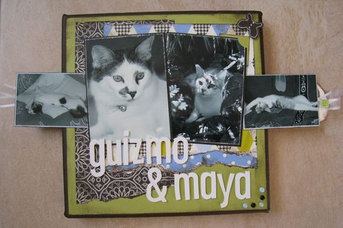 Guizmo & Maya 2
